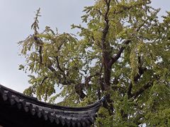 -常熟方塔园