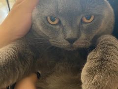 -Me Coffee下午茶艺术空间