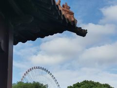 -无锡蠡湖国家湿地公园-蠡园
