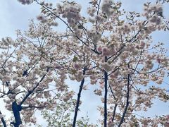 -西北湖绿化广场