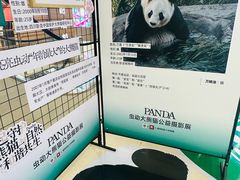 -龙湖重庆时代天街
