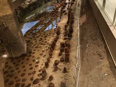 -元代水闸遗址博物馆