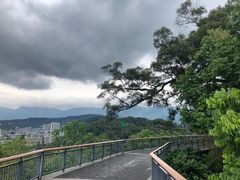-金鸡山公园