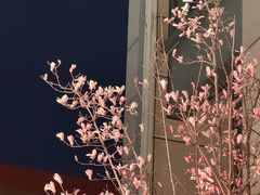-青岛海滨风景区