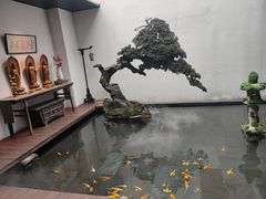 -觀芷隐轩