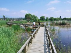 -野鸭湖国家湿地公园