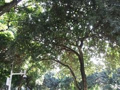 -天河儿童公园
