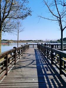 蒋巷村-"嘎嘎部落有会动的恐龙,这一点很吸引我家宝."-大众点评移动版