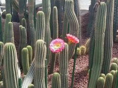 -南通洲际绿博园