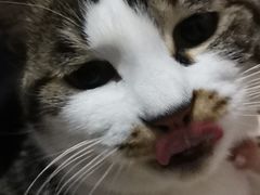 -美联众合动物医院·24h转诊中心