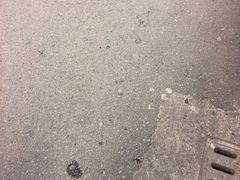 -花园菜市场