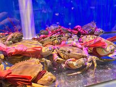 -好彩海鲜火锅饭店(银河百老汇店)