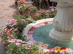 -秀儿家の小确幸花园西餐厅