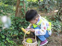 -杭州龙井幼儿园