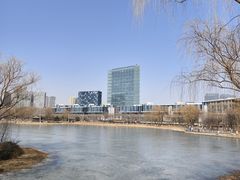 -大兴滨河森林公园