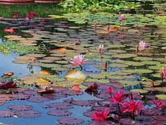 -国家植物园南园