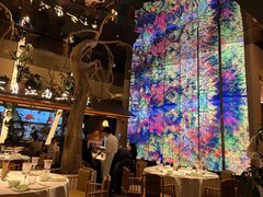 -桂满陇·海市蜃楼·黑金(国金店)