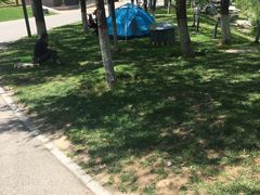 帐篷-西安世博园