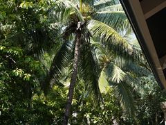 -海南清水湾莱佛士酒店