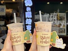-猫的魔法密林(衣裳街店)