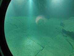 -白鹤梁水下博物馆
