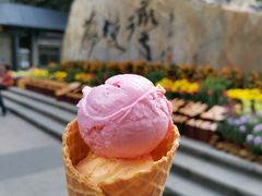 -成裕雪糕店(士多店)
