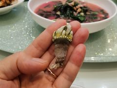 -舌尖上·霞浦滩涂海鲜·新闽菜(总店)