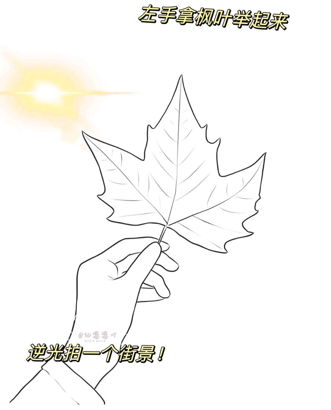 0元玩转这座城#创作者赏金计划#梧桐###树叶贴画#换个城市去过冬
