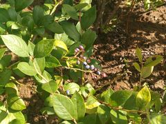 -南戴河国际娱乐中心