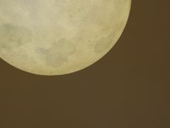 -伊斯坦布尔土耳其清真咖啡餐厅