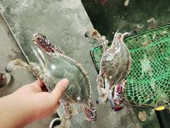 -阔澜蒸汽海鲜自助