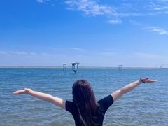 -碧海金沙