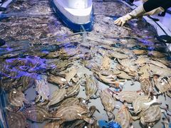 -澜悦港海鲜体验主题餐厅