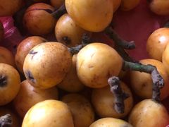 -塘栖枇杷特色园区