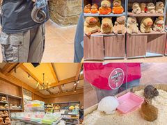 -天河城购物中心