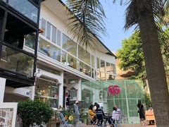 -有猫主题·治愈系猫咖(曾厝垵店)