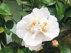 景观位-和先生的砂锅鱼(八方汇店)