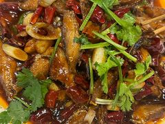 -鑫正兴东北烧烤(滨湖店)