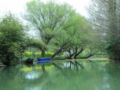-动邦皮划艇·桨板·独木舟·团建户外运动俱乐部