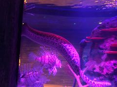 -沈阳海洋探索中心