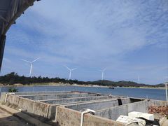 -汕尾风车岛