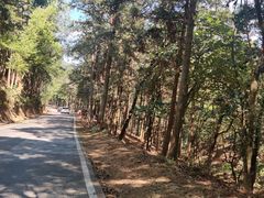 -广州市石门国家森林公园
