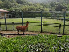 -无锡动物园·太湖欢乐园