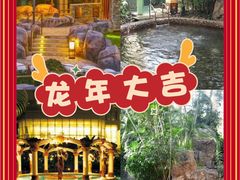 -裕龙汤泉