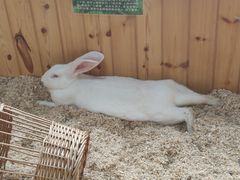 -海合安武汉极地海洋公园