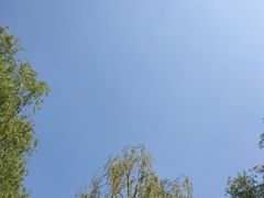 -丁香湖公园