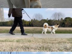 -山明水秀大饭店