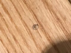 餐具摆设-望湘园·洞庭渔宴(永旺店)