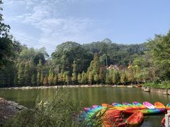 -广州市帽峰山景区