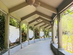 -阳台山森林公园